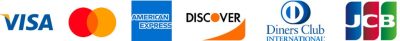 Pay with Credit Debit Card 1024x104 1 - Sword Art Online Stuff